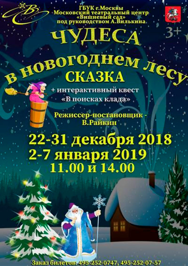 Новогоднее Представление Сказка